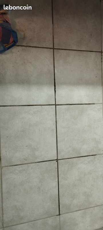 Carrelage (image 1)