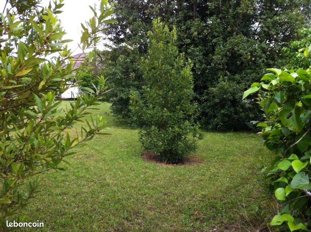 Terrain 500 m² · à Martillac · 129 600 €