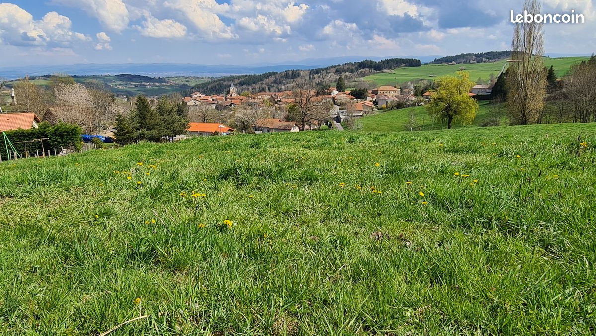 TERRAIN A BATIR VIABILISE - CONSTRUCTION LIBRE - SOLEYMIEUX proche MONTBRISON · 75 000 €