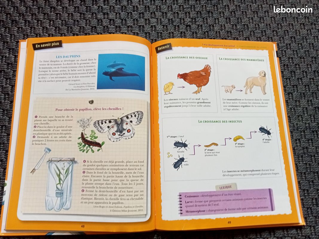 Livres CE2 (image 9)