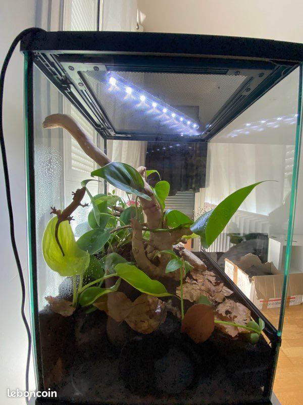 Terrarium Habistat 30x30x45 (image 2)