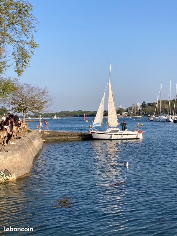 GibSea Serenita 550 — View photo 1