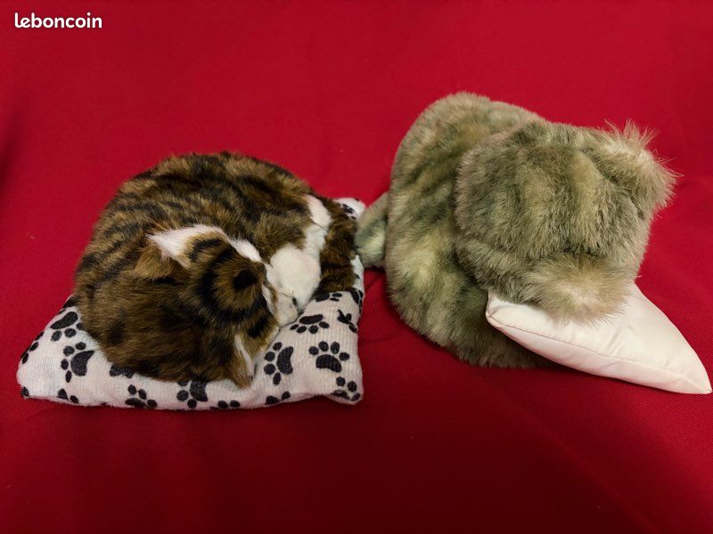 Chats (image 7)