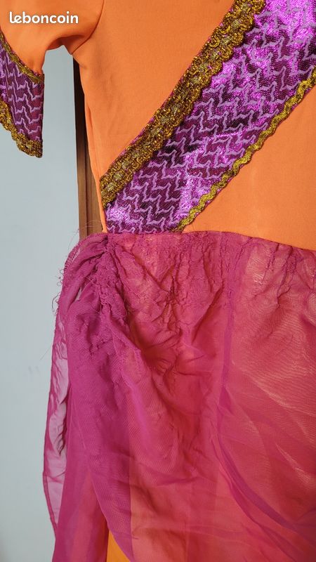 Déguisement robe de princesse Bollywood 5/7 ans (image 2)