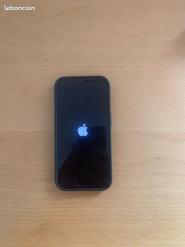 IPhone pro Max 256go (image 2)