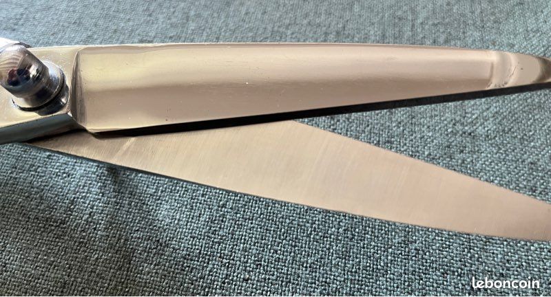 Paire de ciseaux professionnels TAILLEURS 25cm neufs (image 4)