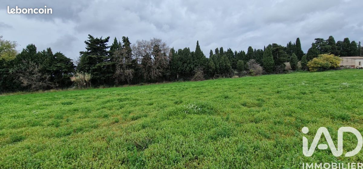 Terrain 329 m² Pézilla-la-Rivière (image 8)