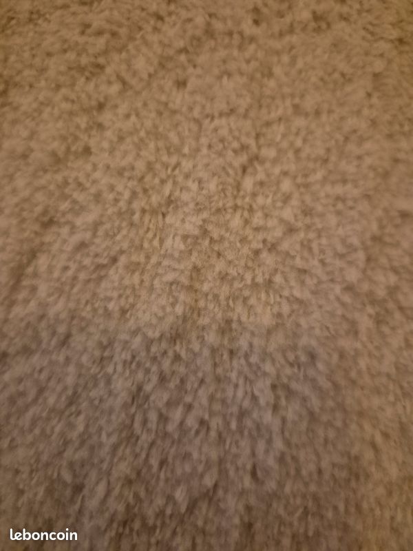 Tapis (image 3)