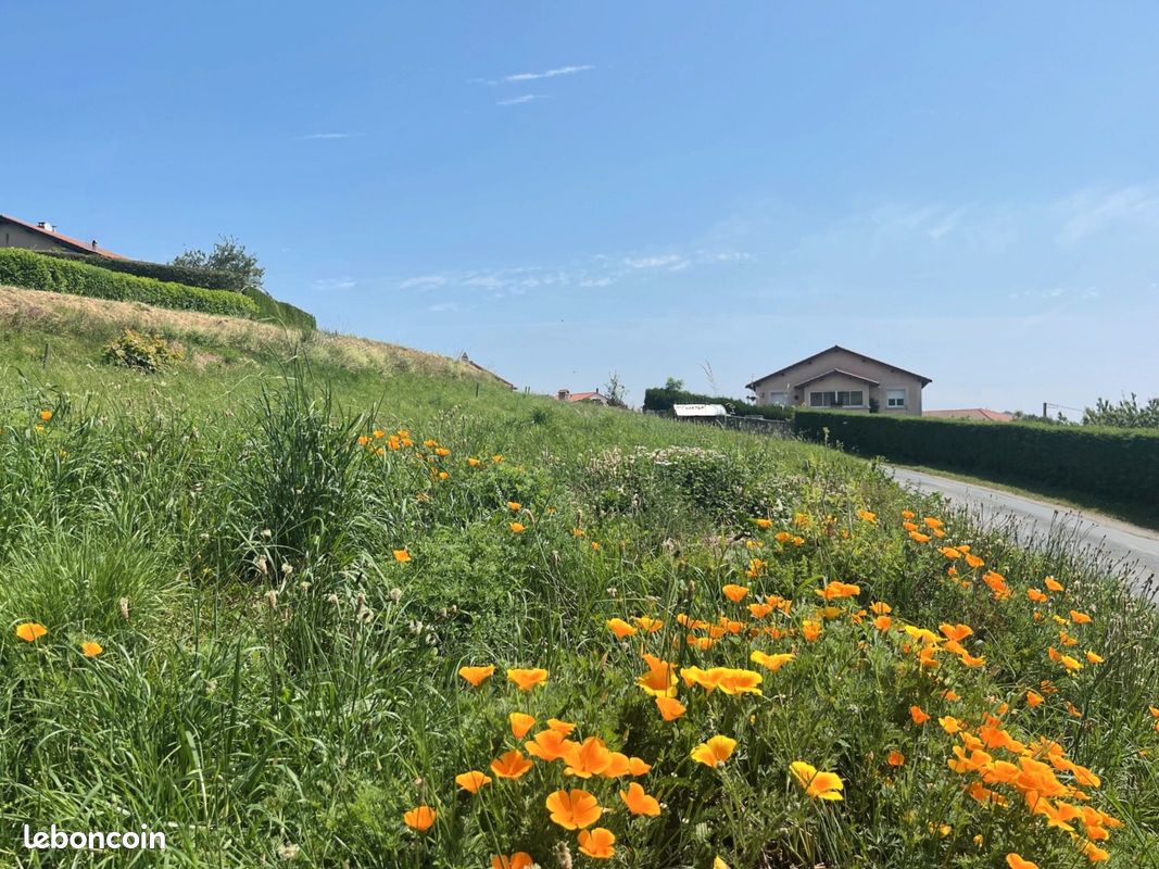 Terrain 914 m² - Libre choix constructeur – Vue imprenable sur le Pilat · à Saint-Martin-en-Haut · 112 000 €