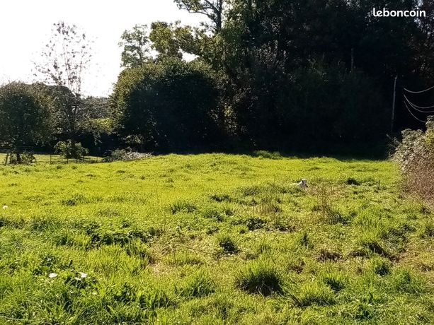 Terrain 1 300 m² Cany Barville