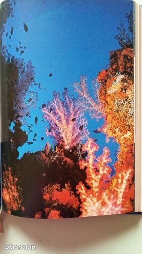 [Livre] Un trésor englouti - Bon état (image 5)