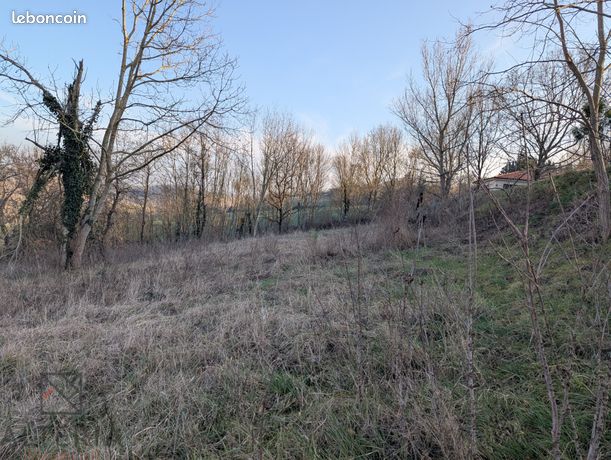 Terrain 1690 m² Villefranche-de-Lauragais