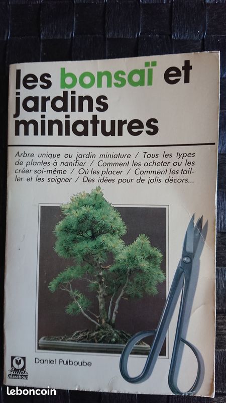 Les bonzai et jardins miniatures (image 1)