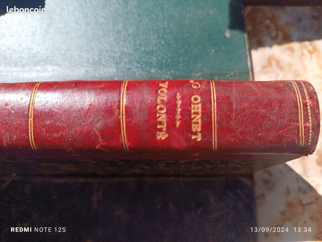 Livre ancien.les batailles de la vie (image 3)