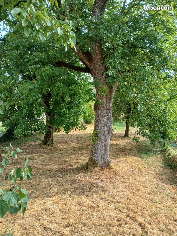 Terrain à Bâtir · à Laval-Morency · 25 000 €