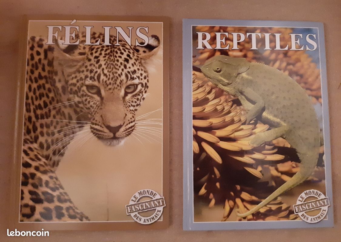 Lot de 2 livres : Félins et Reptiles (image 1)