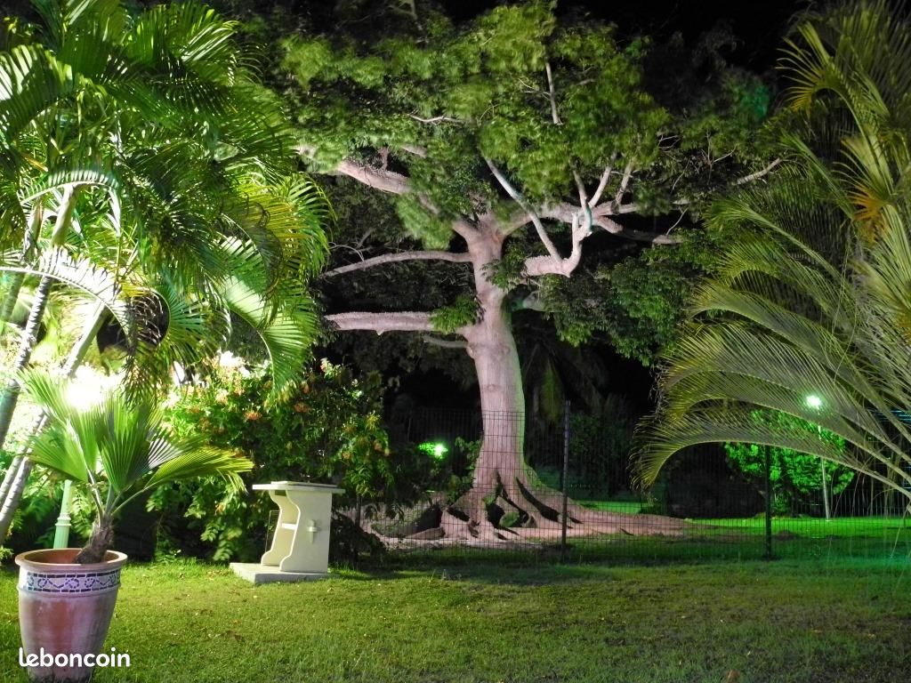 Villa Mangue-Passion (image 12)