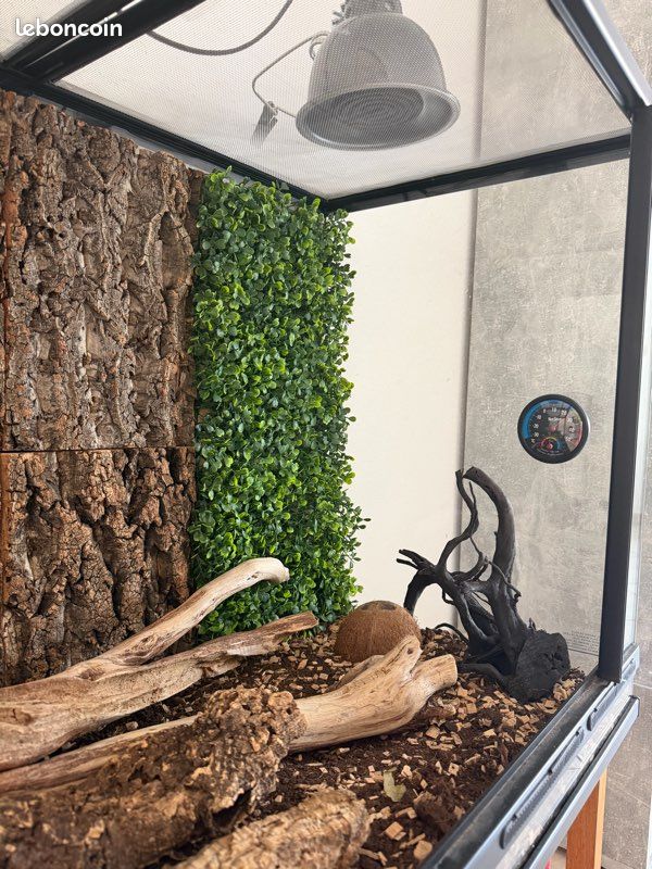 Grand terrarium complet complet (image 2)