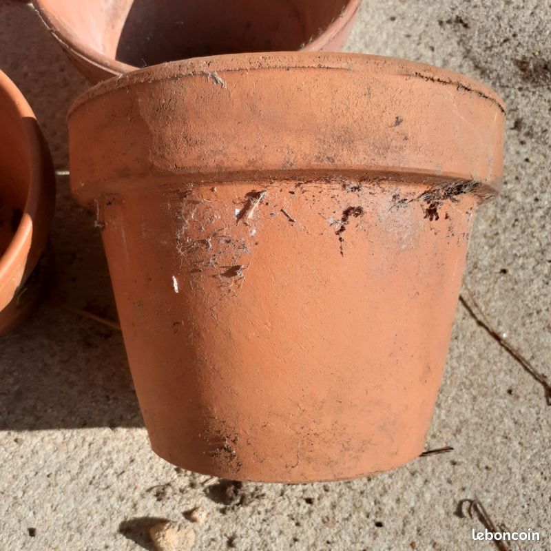 Pot terre cuite (image 1)
