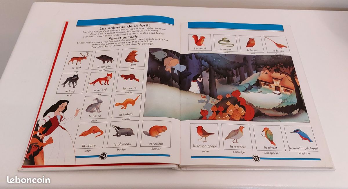 Imagier bilingue : Mon livre de mots français – anglais (image 4)