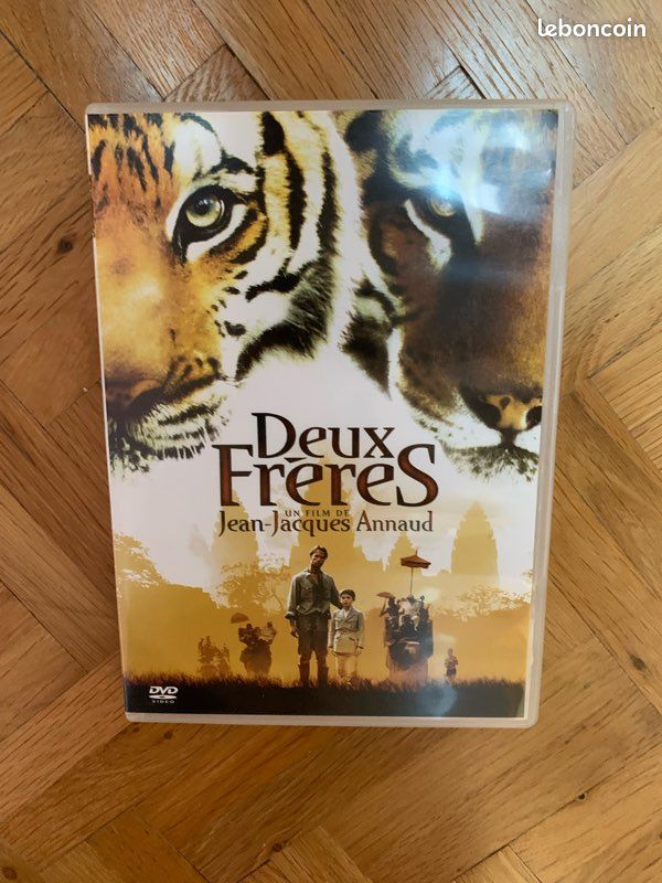 DVD « Deux frères » (image 1)