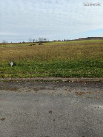 Terrain constructible