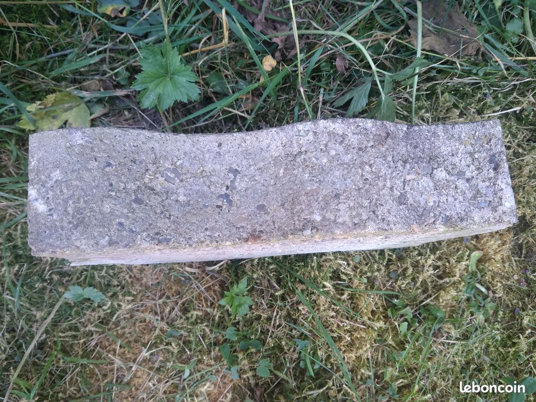 Pave béton (image 2)