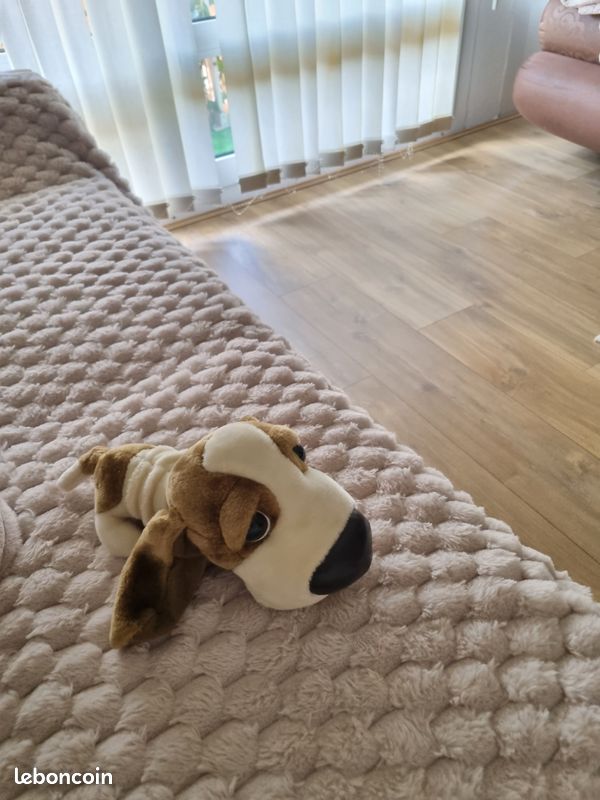 Peluche (image 7)