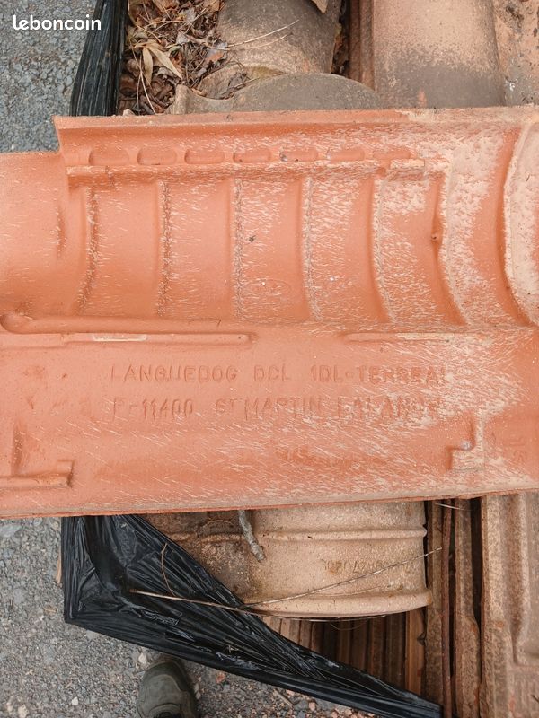 Tuile dcl terreal (image 1)
