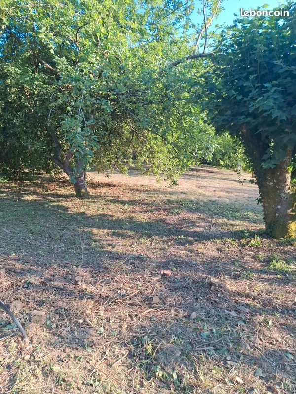 Terrain a vendre (image 4)
