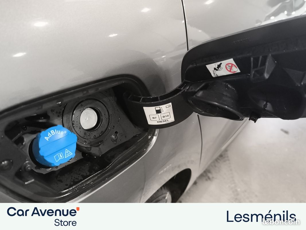 RENAULT Scenic Blue dCi 120 Intens (image 30)