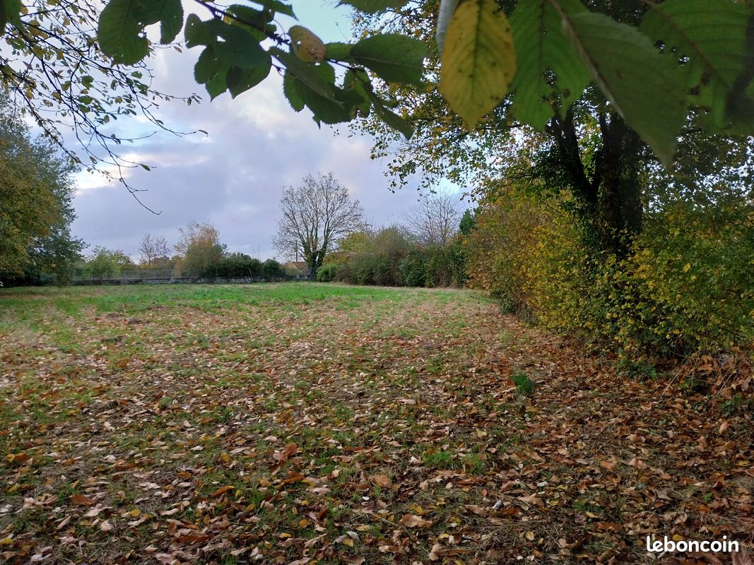 Terrain constructible · à Rouillé · 15 000 €