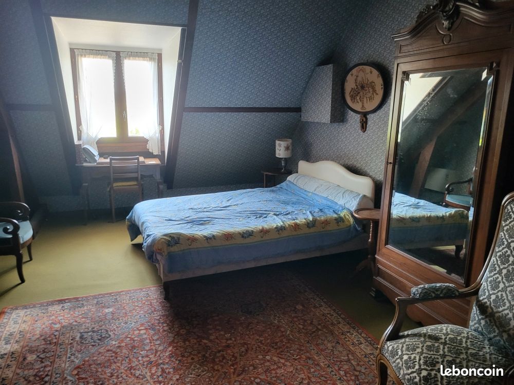 Belle maison au calme centre-ville de Romorantin (image 13)
