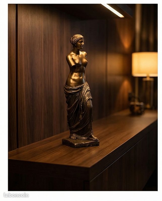 Statue Vénus de Milo 26 cm – Finition bronze – Sculpture décorative classique avec boîte d’origine (image 4)