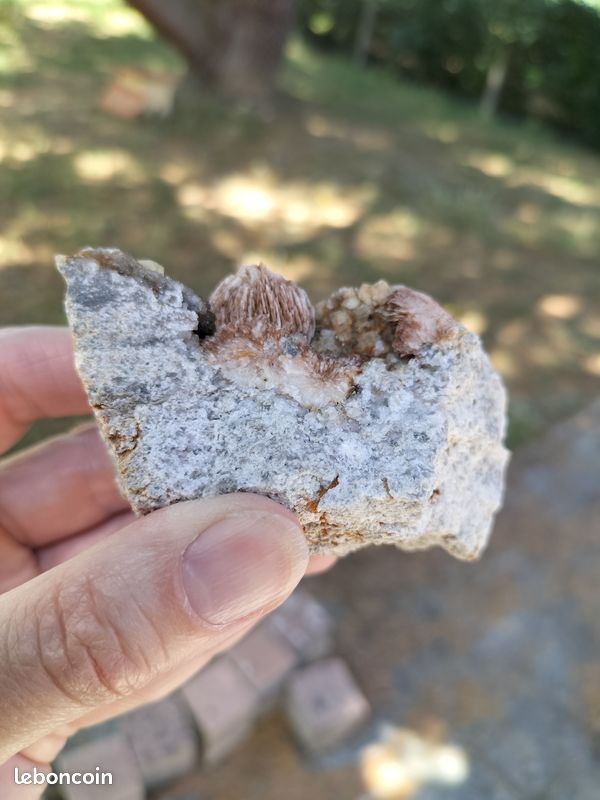 Minéraux français – Fluorite, baryte et quartz – Beaussais-Vitré (79) - France (image 4)