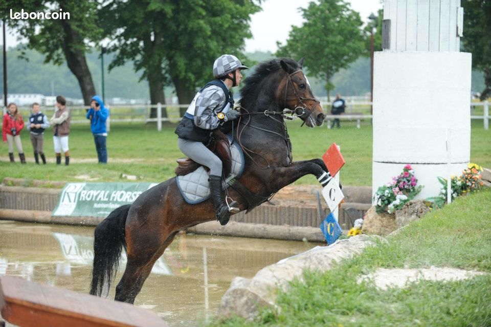 hit-air Gilets Airbag moto ou équitation