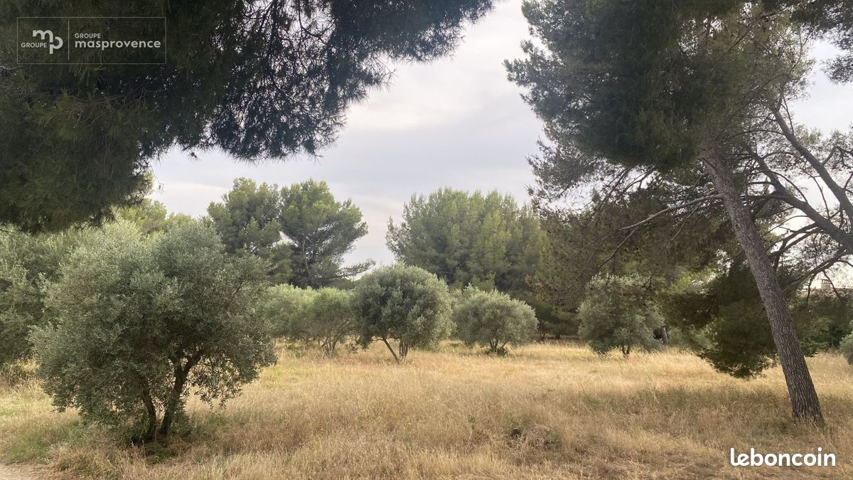 Terrain à bâtir de 651 m² à SAINT-CHAMAS (13) · 220 000 €