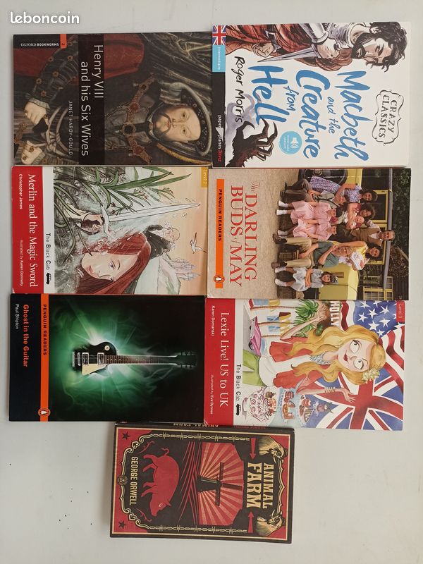 Lot livres en anglais (image 1)