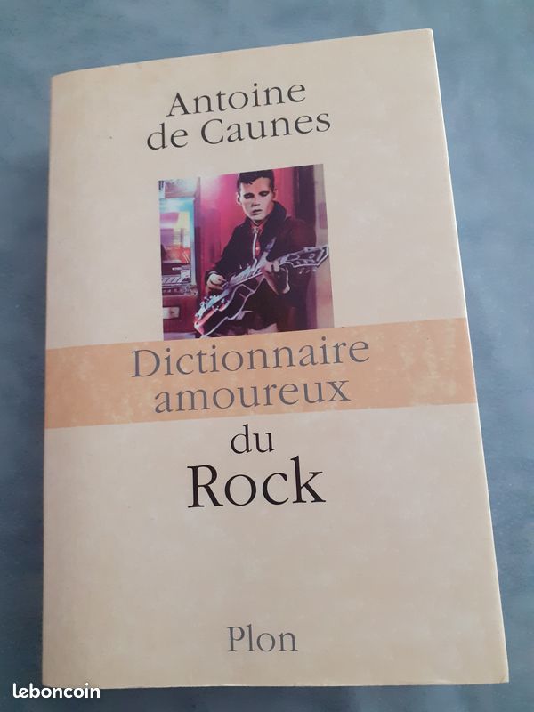 Dictionnaire Amoureux du Rock (image 1)