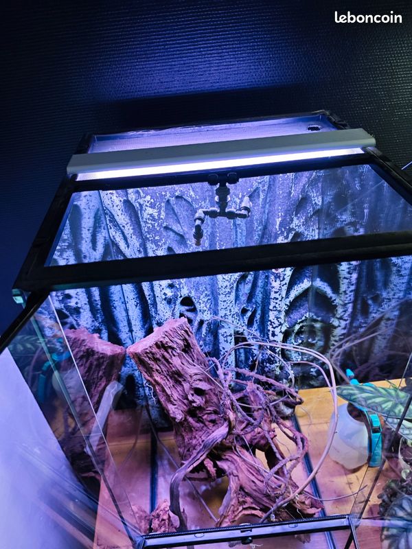 Terrarium 45x45x90 (image 2)