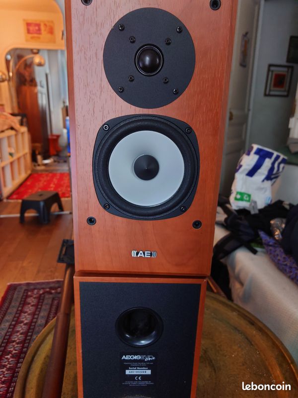 Loudspeaker Acoustic Energy Aegis Evo Subwoofer Energy Aegis