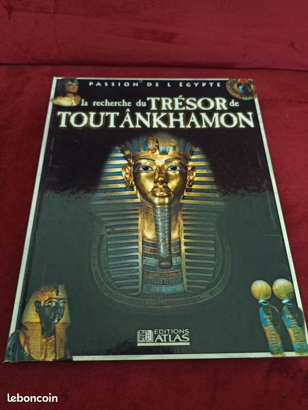 Livre A la recherche du trésor de Toutankhamon (image 1)