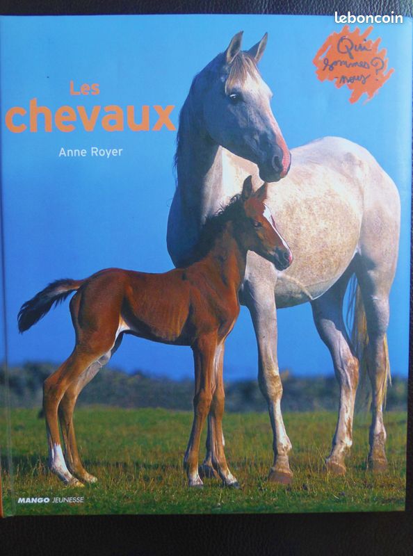 Livre enfant sur les chevaux (à partir de 7 ans) (image 1)