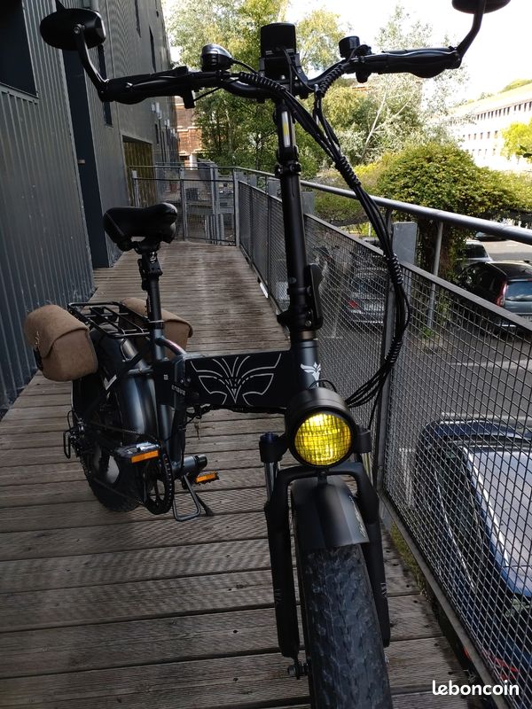 Vélo électrique (image 3)
