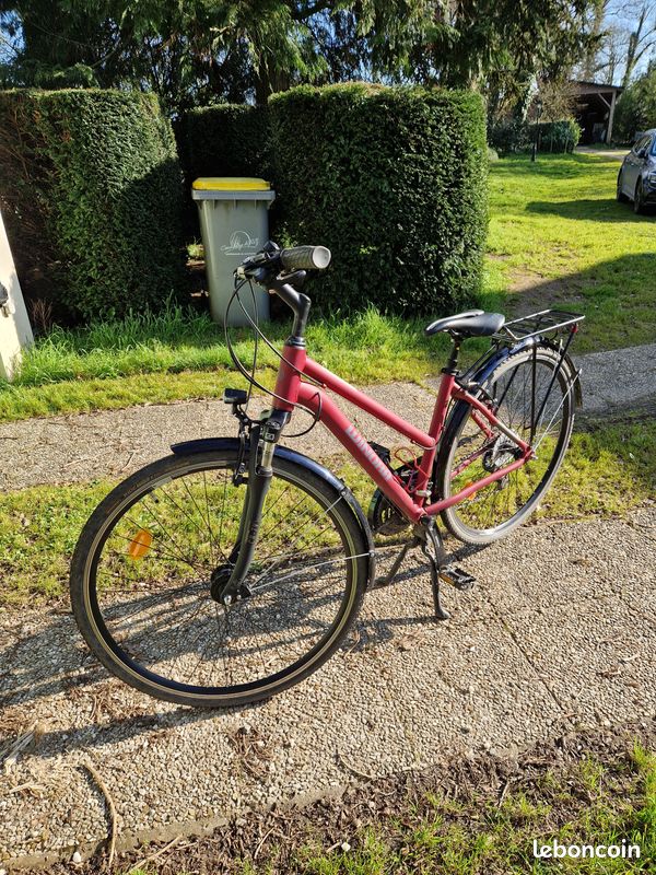 Selle De Vélo De Ville Ancienne Lionrone 155 - Cuir, Confort - Modèle Vintage