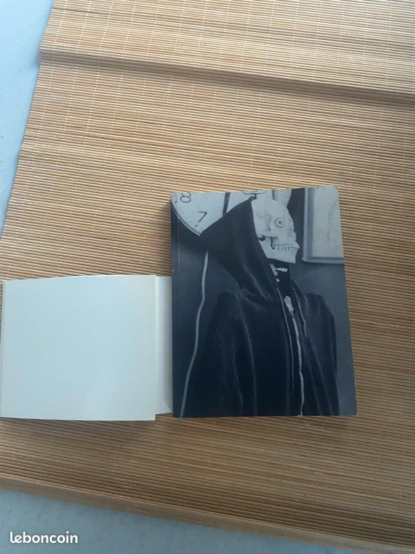 School spirit -pierre huyghe, douglas coupland , rencontre (image 3)