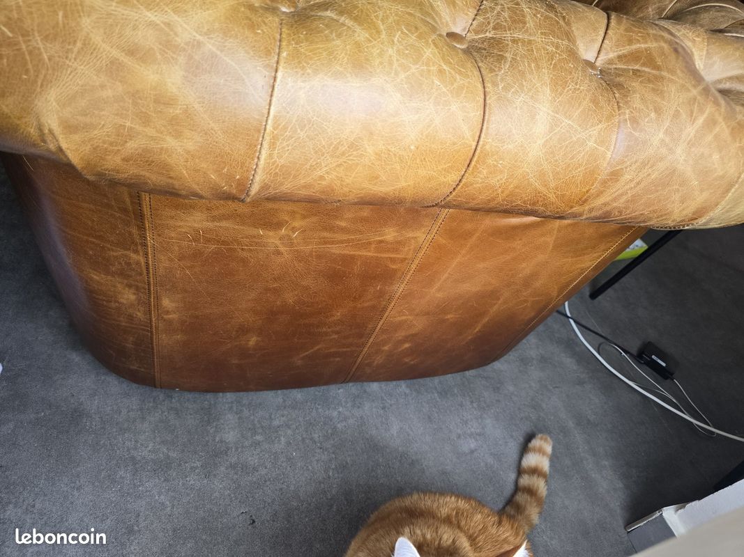 Fauteuil Chesterfield Maisons du Monde cuir de vachette marron (image 4)