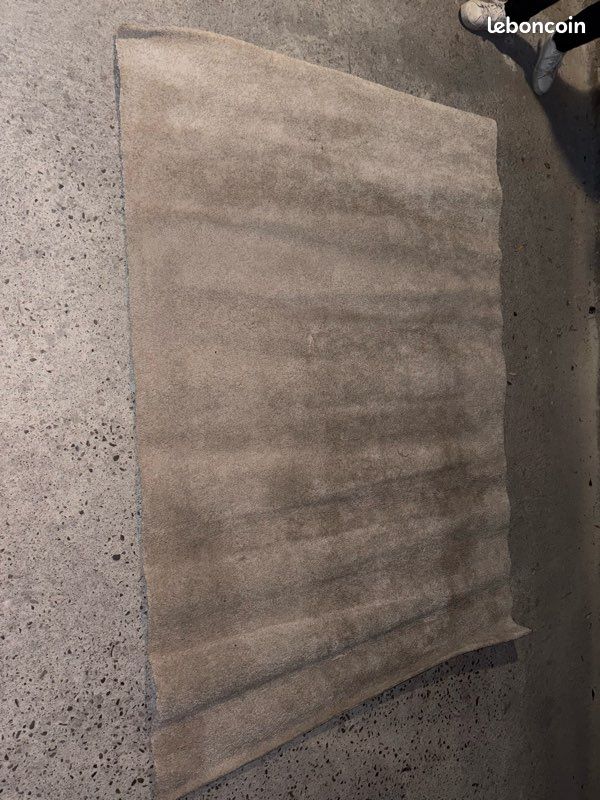 Tapis salon (image 1)