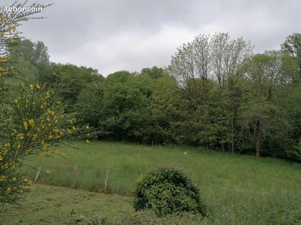 Terrain 2213 m² Saint-Thurial