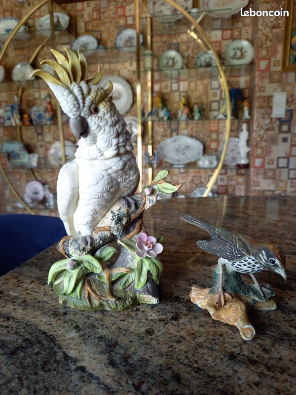 Oiseau Biscuit (image 1)